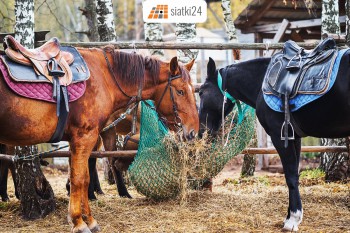 Kostrzyn nad Odrą Worek na siano — praktyczny i wytrzymały pasznik dla koni Sklep Kostrzyn nad Odrą
